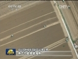 全国夏收开镰 夏粮有望再获丰收