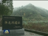 国内联播快讯