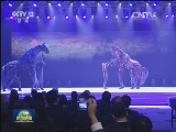 习近平夫妇出席南非“中国年”闭幕式文艺演出