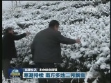 国内联播快讯