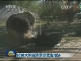 旅美大熊猫添添享受泡泡浴