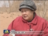 【你还在我身旁】为圆儿遗愿 母亲种下200万棵树