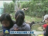 旅韩大熊猫亮相惹人喜爱