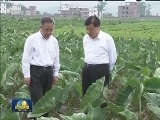 刘云山在广东调研