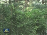 【绿色中国】保护生态 共享森林多样美景