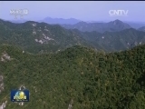 秦岭珍稀野生动物种群数量明显增加