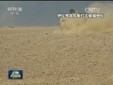 俄外长批评某些西方国家到处搅局