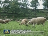 【时代先锋】“农民书记”姜仕坤：要让群众富起来