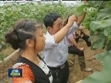 四川巴中：难忘红军情 王坪村民甘当守陵人