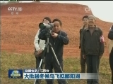 国内联播快讯