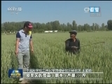 “西部之光”实施20年 助力人才培养