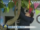 收获2016 喜盼2017