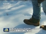 【新春走基层】大兴安岭：转型后的乌力库玛林场