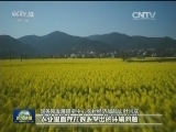 【春耕时节看农业供给侧结构性改革】绿色耕作新模式 保障舌尖安全