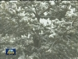 南方雨势增强 北方陆续迎降雪