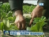 内蒙古：“脱贫菜单”推动精准扶贫