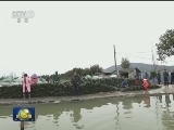 浙江诸暨：治水倒逼珍珠产业转型升级