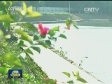 海口：生态修复让水清岸绿城市更新