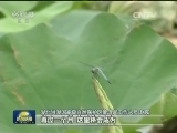 来之不易的绿水青山