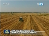 河南：调整种植结构 追高产变求优质