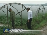 【两学一做·榜样】陈步上：人老心红 党员不褪色
