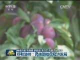呼和浩特：民族团结促经济发展