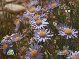第二次青藏高原综合科学考察研究启动