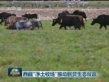 西藏“净土牧场”推动脱贫生态双赢