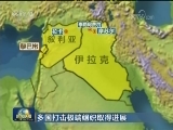 多国打击极端组织取得进展