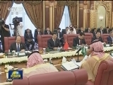 张高丽会见沙特国王并主持中沙双边合作机制会议