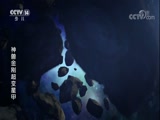 神兽金刚3超变星甲 1集