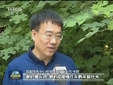 我国经济结构继续优化 新动能增长