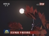 花好月圆 千里共婵娟