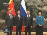 张高丽 汪洋 刘延东接受俄罗斯“友谊”勋章