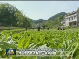 我国农村承包地确权取得阶段性成果