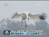 国内联播快讯