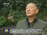 湖南岳阳：移风易俗 树立文明新风
