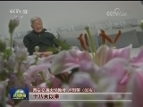 欢乐迎新年 奋进新时代——习近平主席新年贺词引发强烈反响