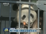 国内联播快讯