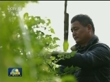 【最美基层干部】王传喜：苦干19年 “乱村”换新颜