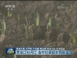 黑龙江牡丹江：合作社架起农民致富路
