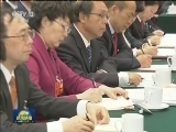 王沪宁参加河北代表团审议