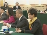 汪洋参加台湾代表团审议