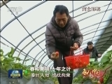 春天的中国：春和景明 一年之计