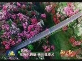春天的中国