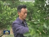 四川：“农民夜校”促乡村振兴