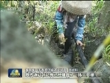 牢记嘱托 加快建设美好新海南