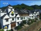 一季度消费品市场持续活跃