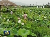 良好生态带来初夏美景