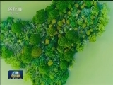 美丽中国 仲夏生机